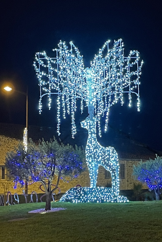 Holiday lights
